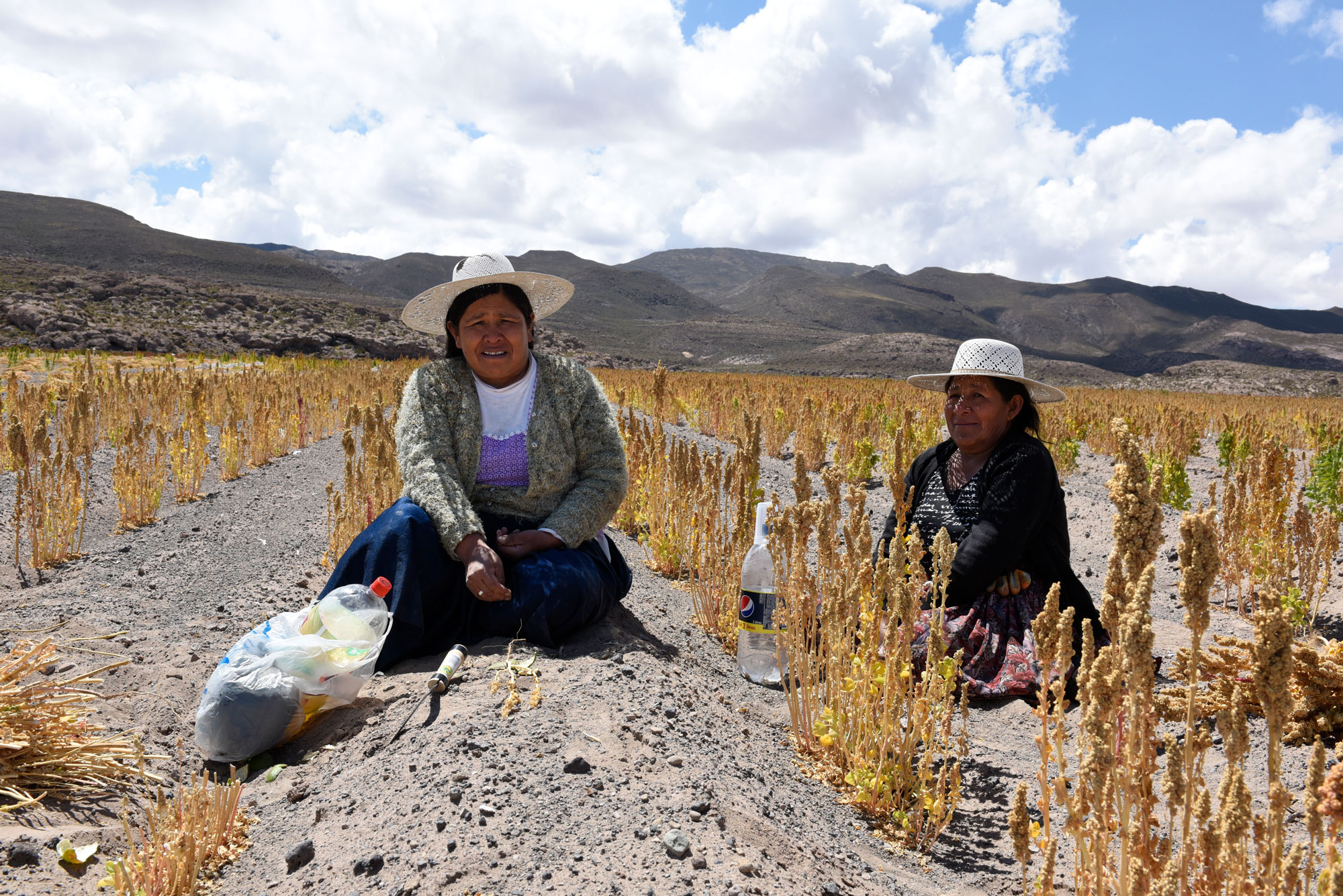 Two women in Bolivia sitting and tending a field